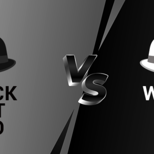 Comparison Between White and Black Hat SEO